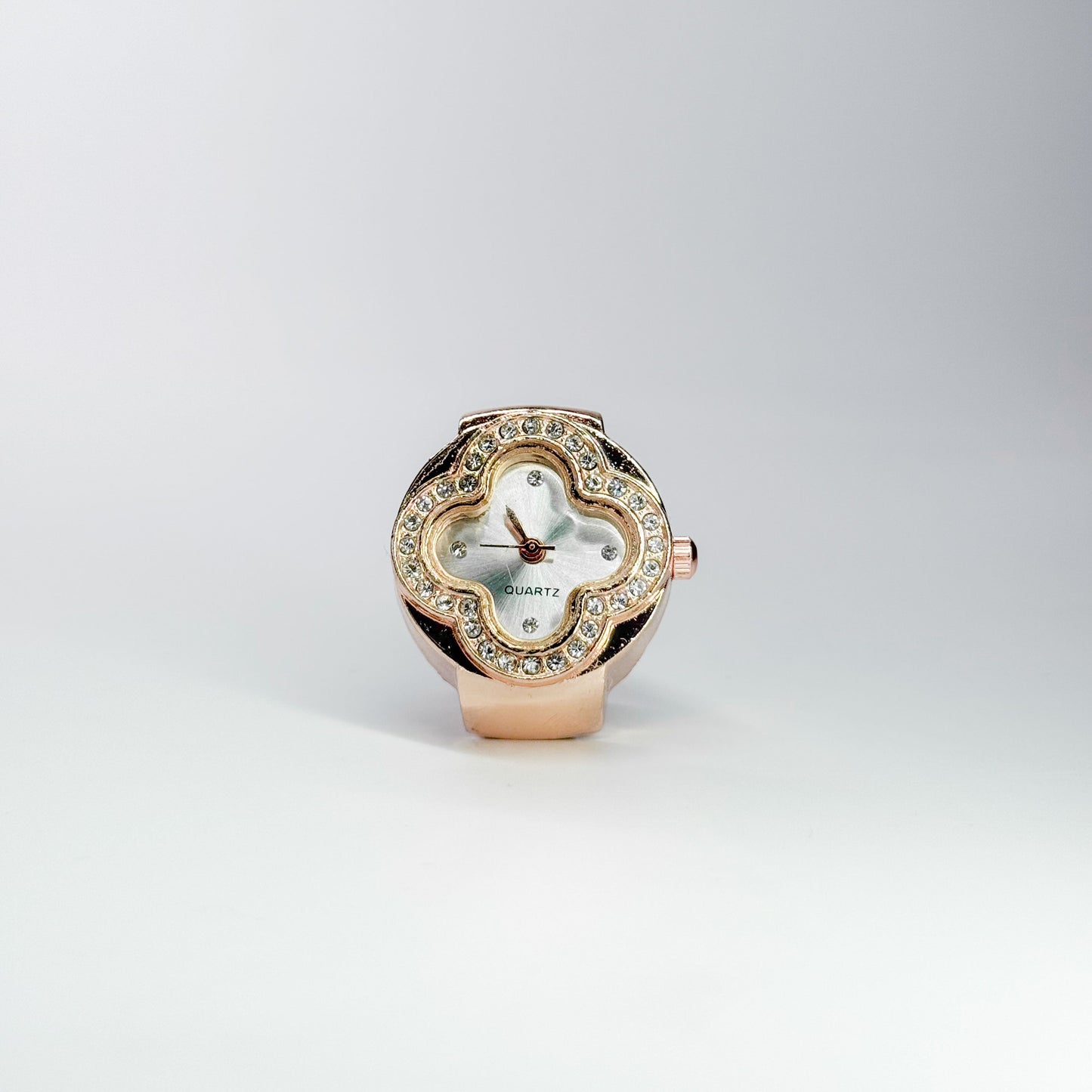 Luxury Watch Rings