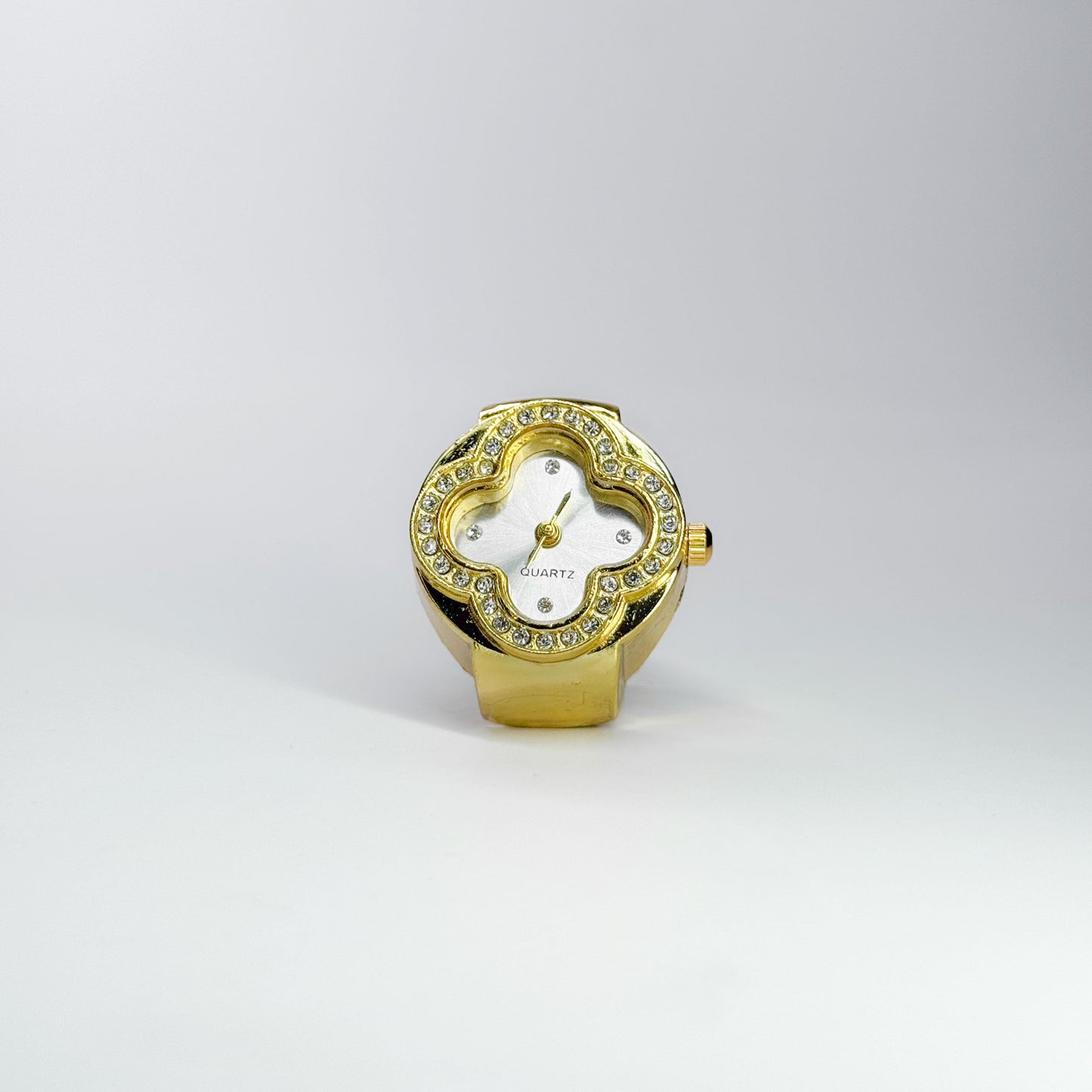 Luxury Watch Rings